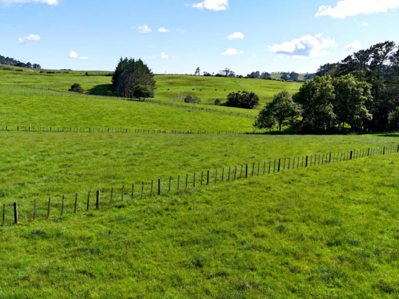 11-pool-road-wellsford