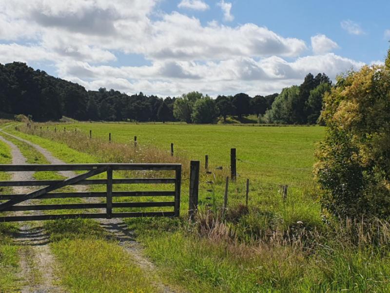 1241-ararua-road-ararua