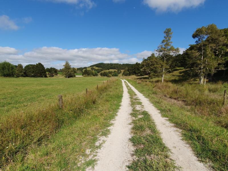 1241-ararua-road-ararua