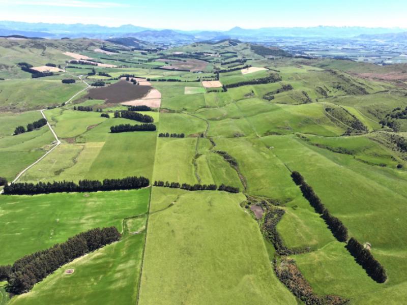 365-glenure-hill-road-hokonui-hills