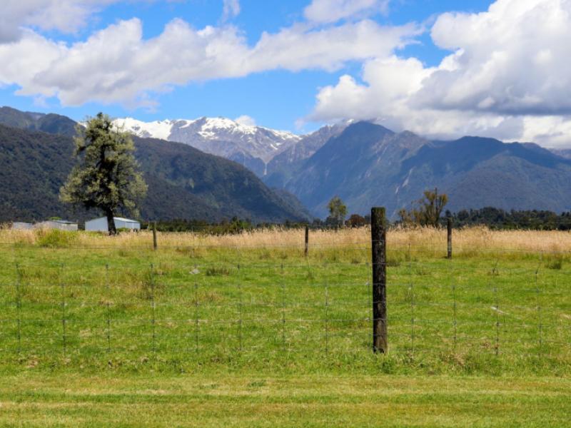 2328a-arthurs-road-franz-josef