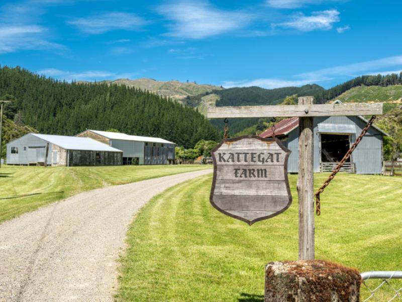 140-leslies-road-okaramio