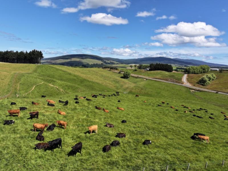 1965-ohai-clifden-highway-merrivale