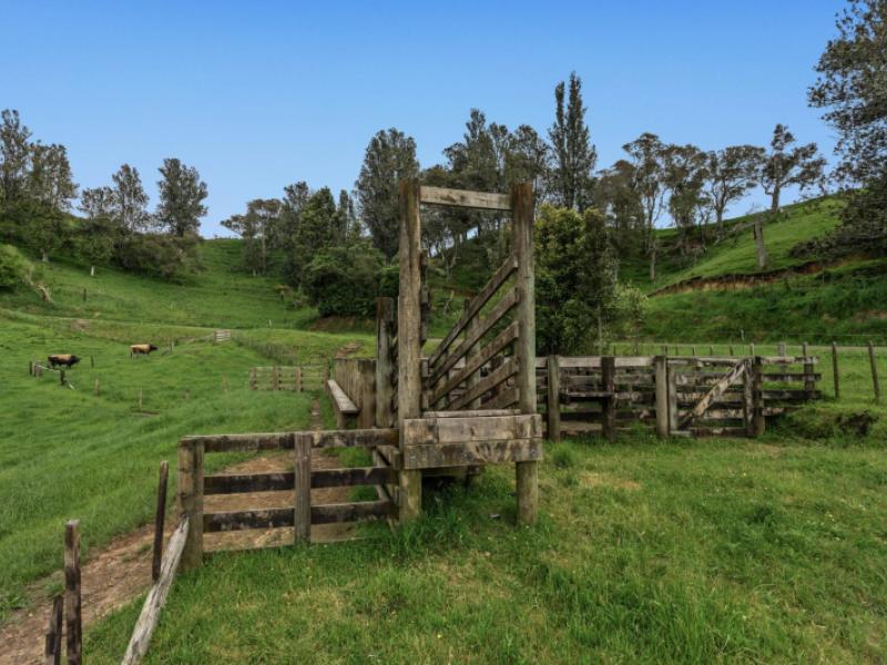 26-settlement-road-pikowai