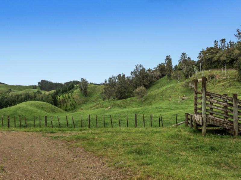 26-settlement-road-pikowai