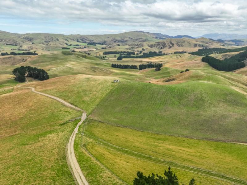 2-cotswold-road-omihi