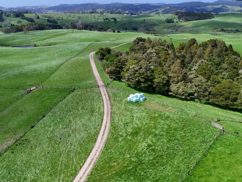 291-prictor-road-wellsford