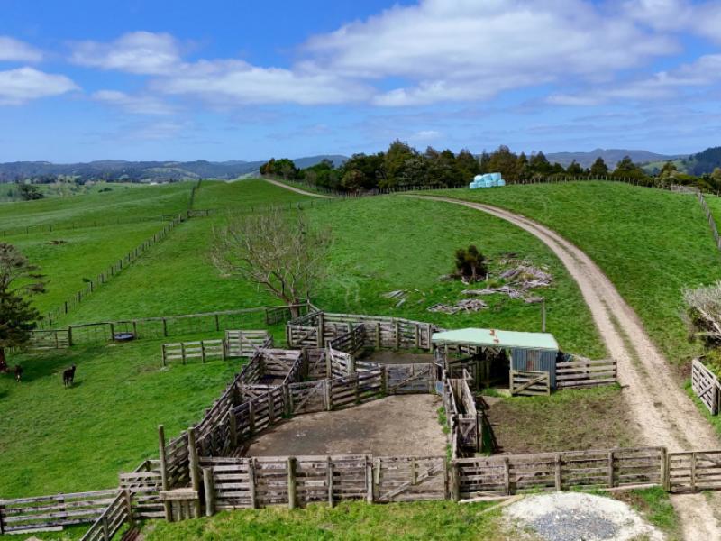 291-prictor-road-wellsford