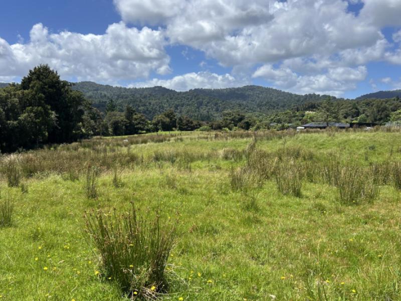 8-aorangi-drive-greymouth