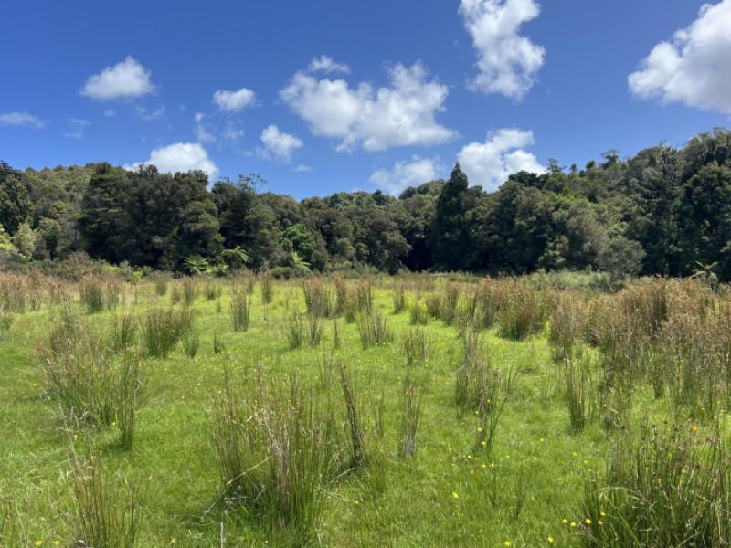 8-aorangi-drive-greymouth