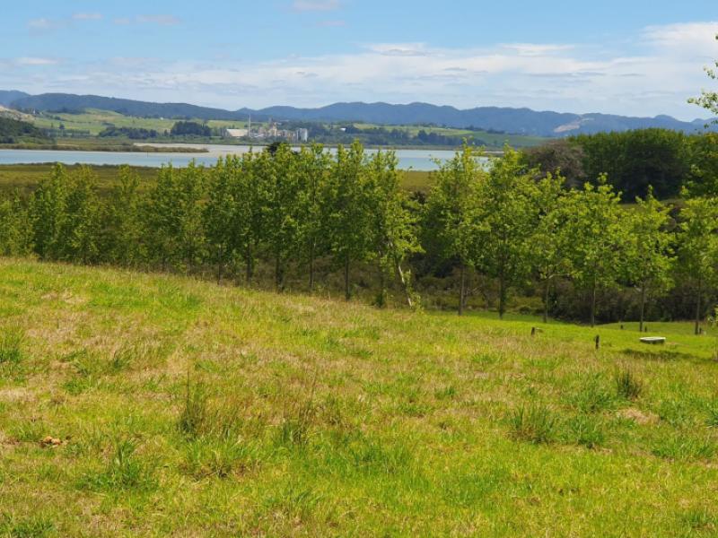 237-hewlett-road-mata