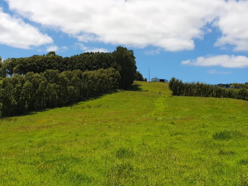 237-hewlett-road-mata