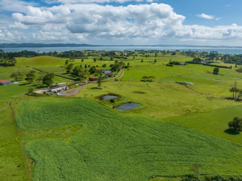 312-grahams-beach-road-manukau-heads
