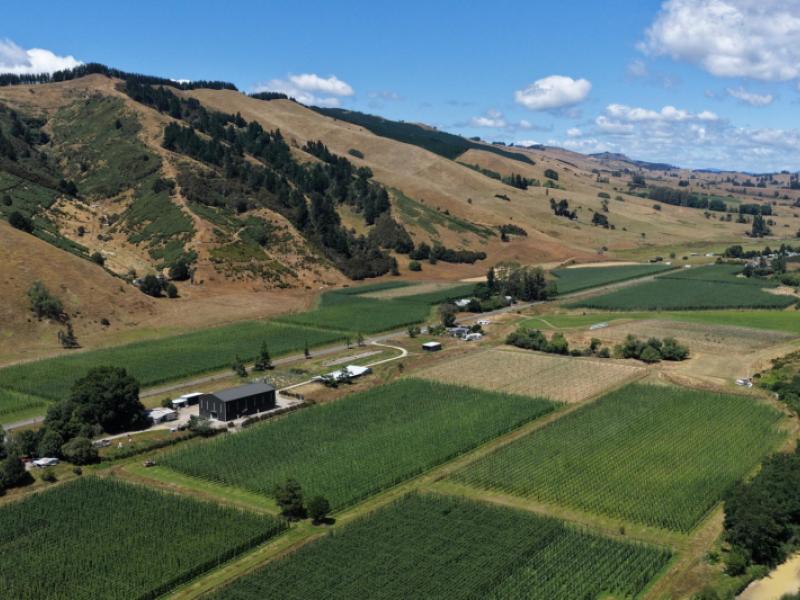 390-tadmor-valley-road-tapawera