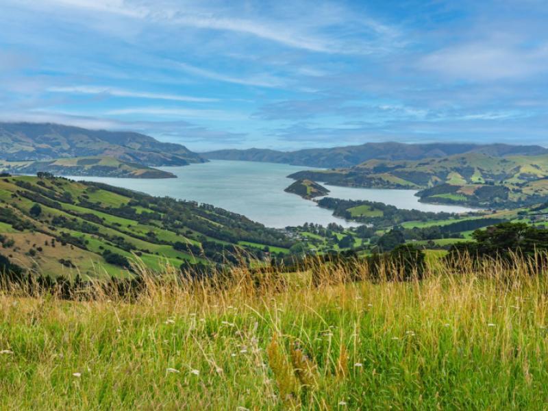 663-summit-road-pigeon-bay