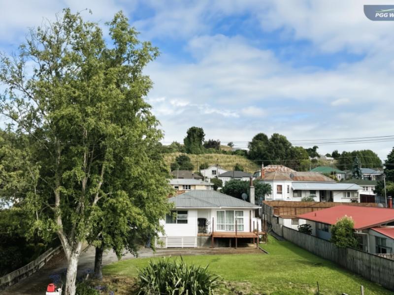169a-hautapu-street-taihape