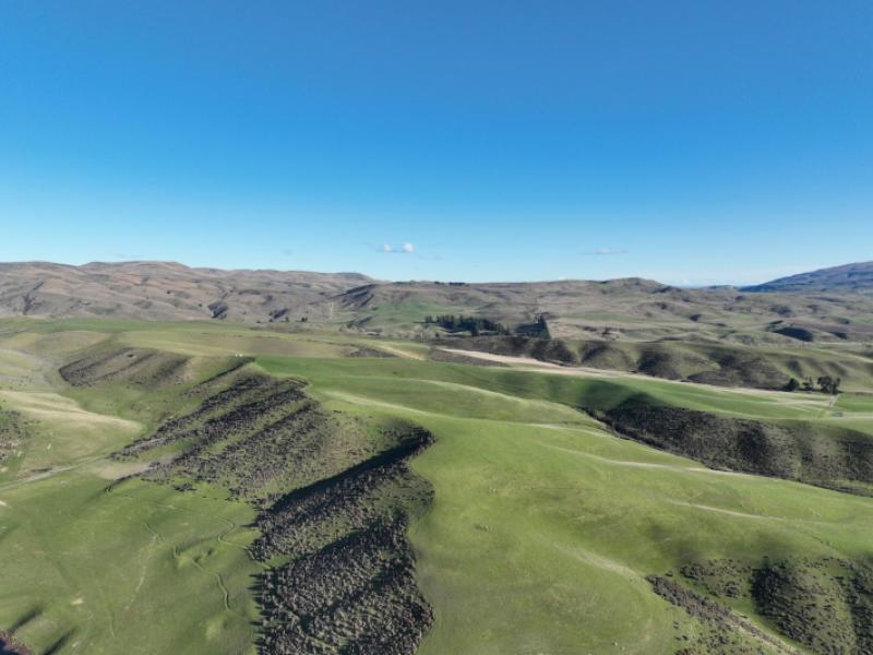 prestons-road-kyeburn