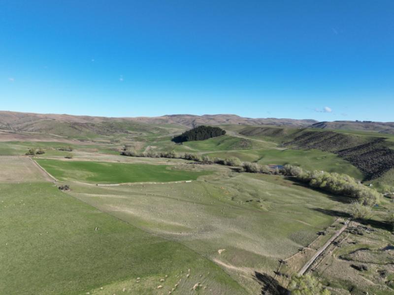 prestons-road-kyeburn