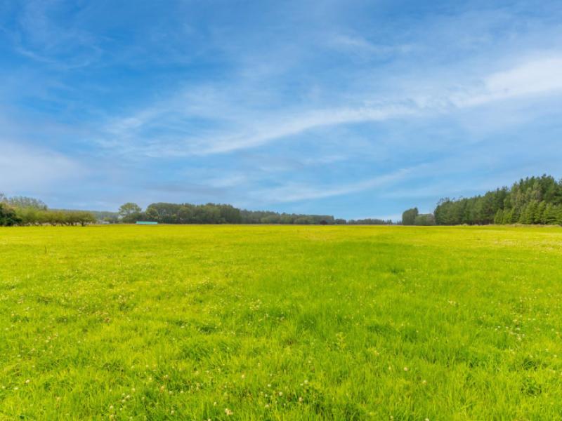 79-halstead-road-pleasant-point