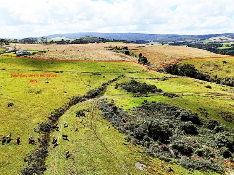 870-marlborough-road-dargaville-surrounds