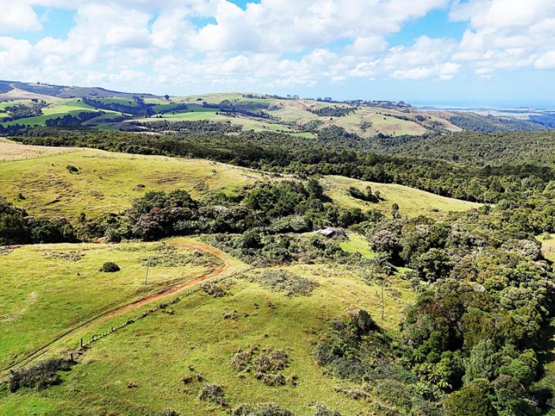 870-marlborough-road-dargaville-surrounds