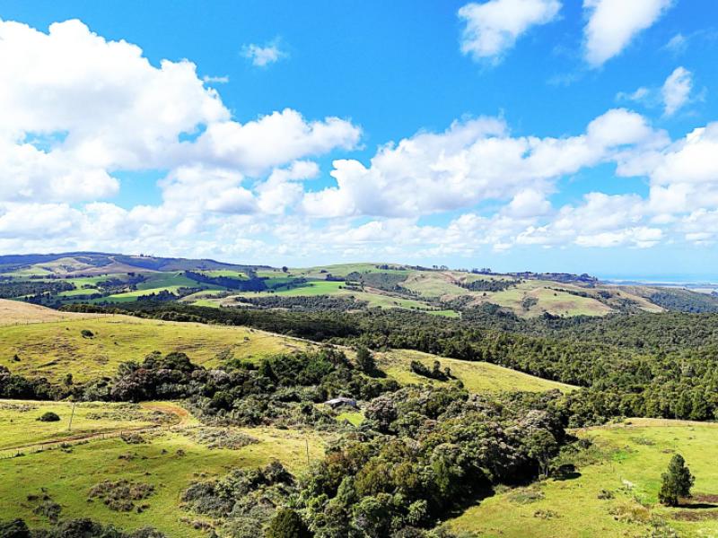 870-marlborough-road-dargaville-surrounds