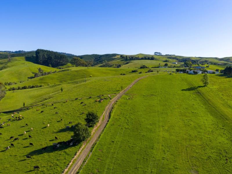 165-rotowaro-road-huntly