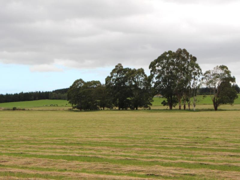 rosewill-valley-road-rosewill