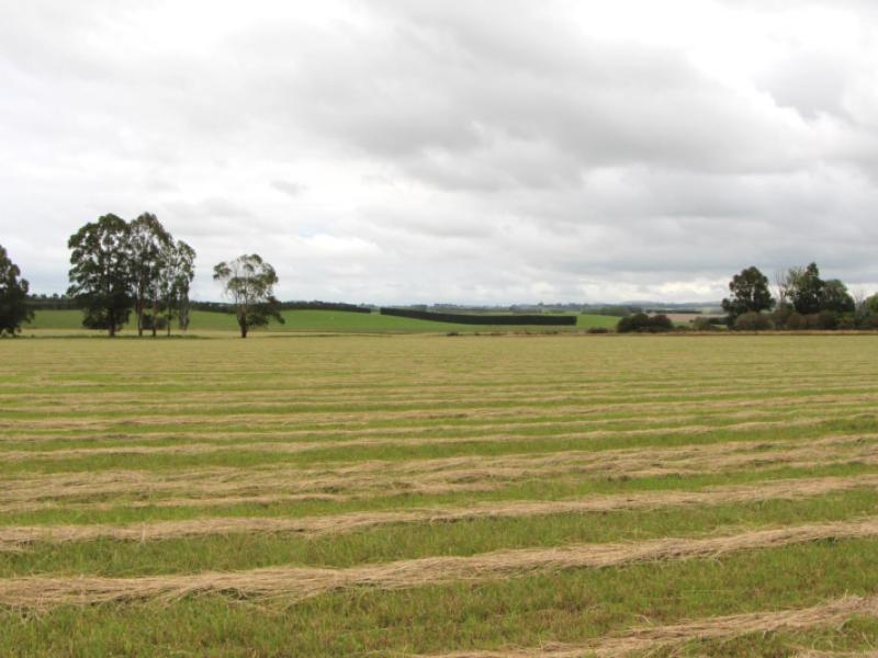 rosewill-valley-road-rosewill