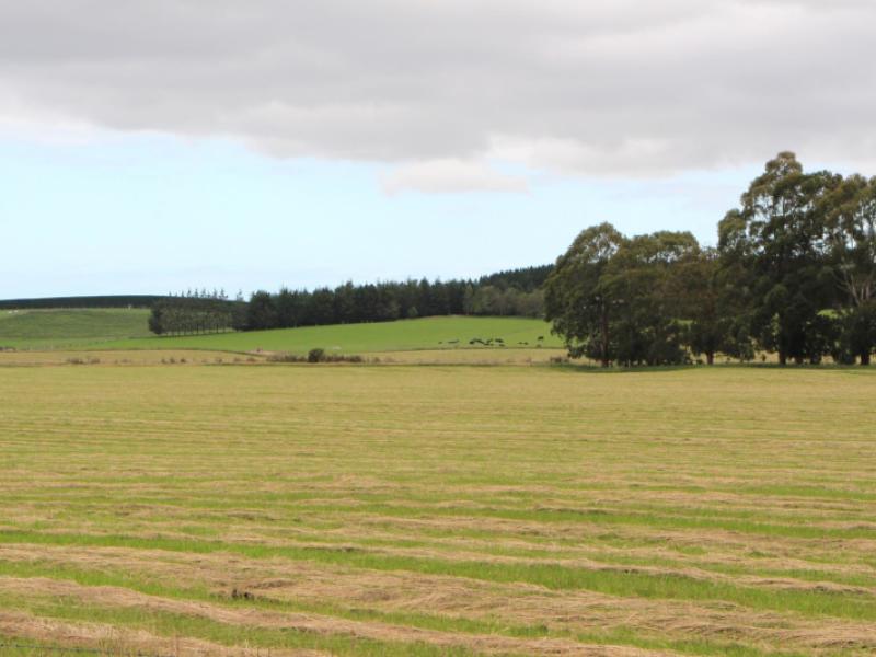 rosewill-valley-road-rosewill