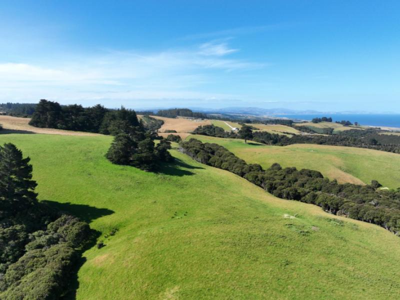 125-sawmill-road-taieri-beach