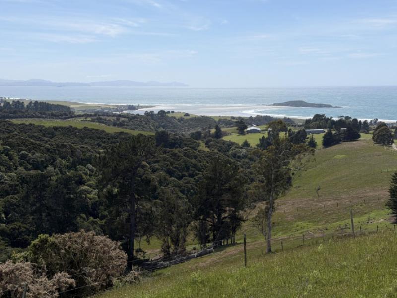 125-sawmill-road-taieri-beach