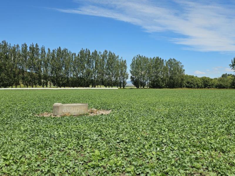 289-otama-valley-road-otama