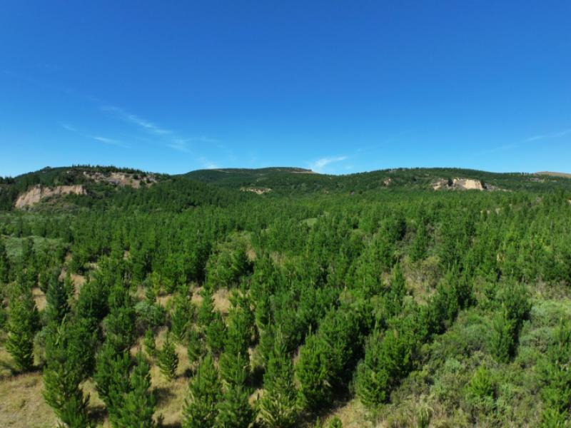 waitahuna-gully-road-waitahuna-gully