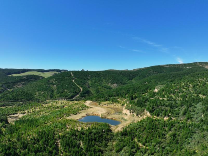 waitahuna-gully-road-waitahuna-gully