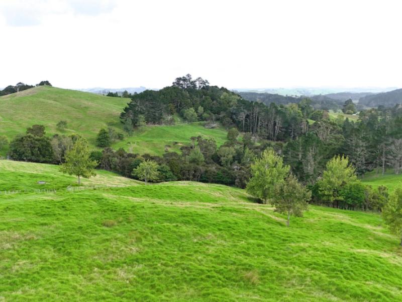 williamson-road-wellsford