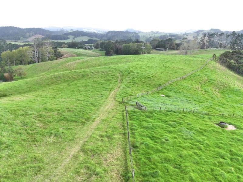 williamson-road-wellsford