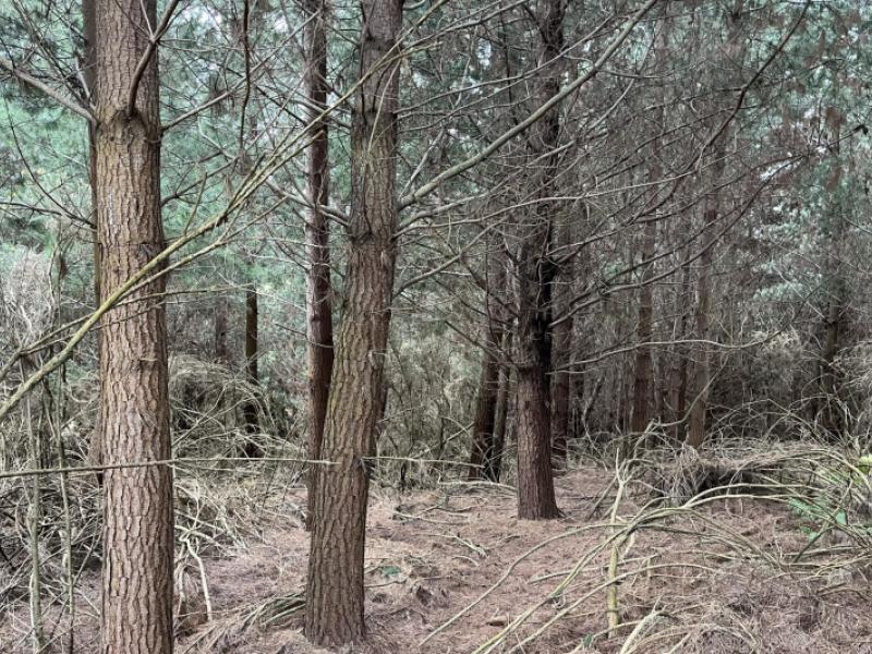 breakneck-road-herbert