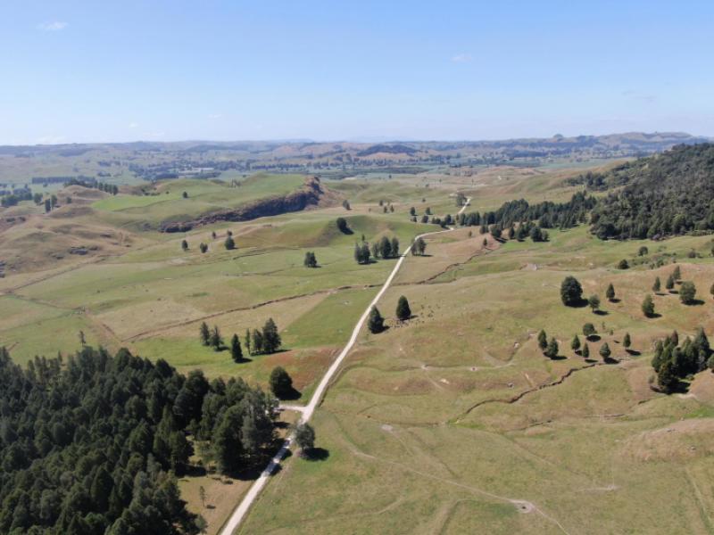 kahuwera-road-piopio