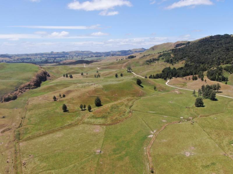 kahuwera-road-piopio