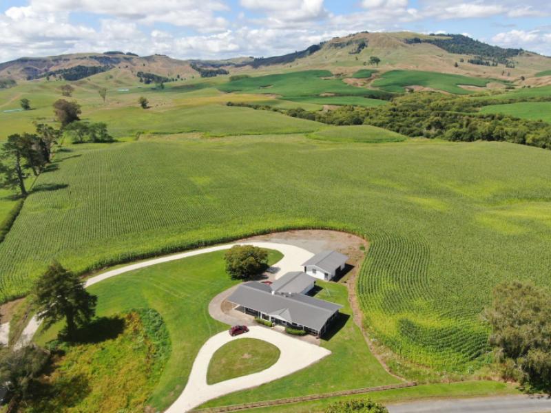 37-napinapi-road-te-mapara