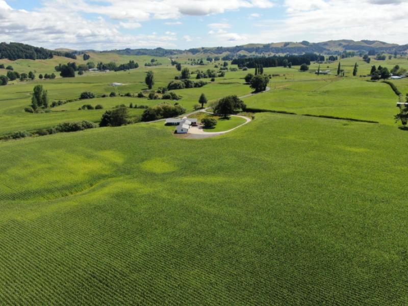 37-napinapi-road-te-mapara