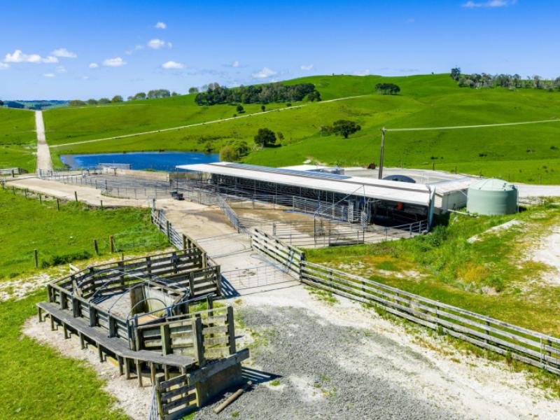 29-keer-road-dargaville