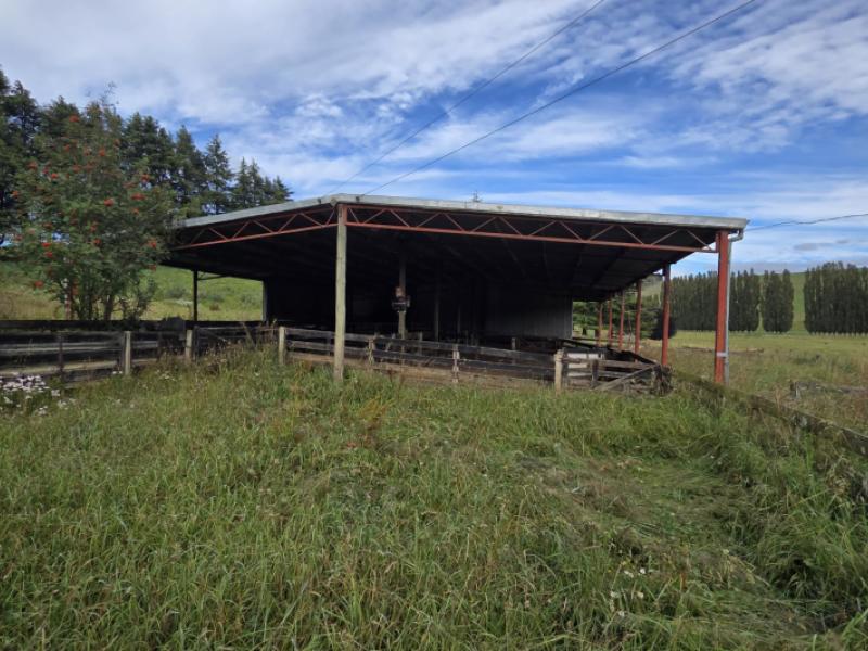 22-tokarahi-duntroon-road-tokarahi