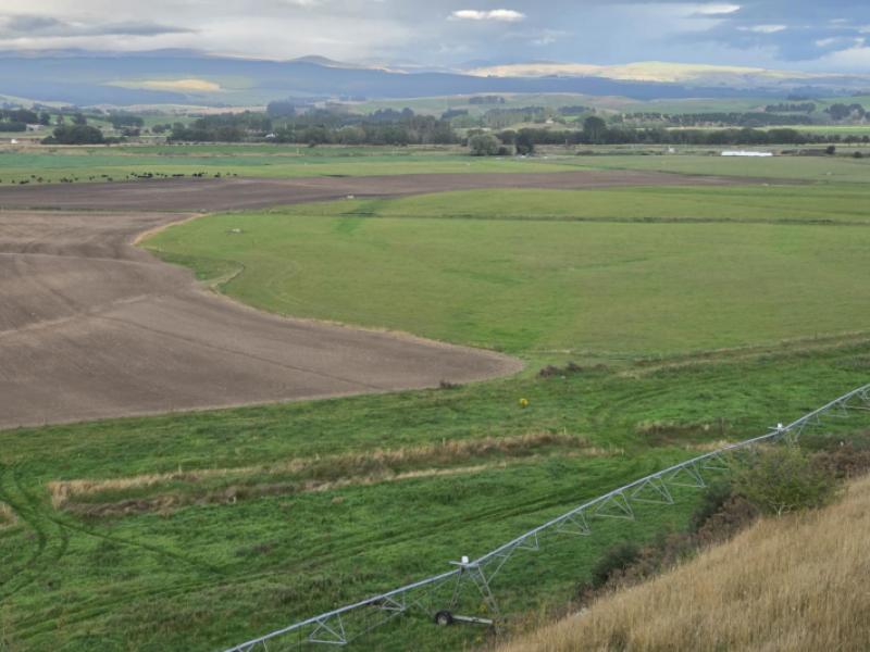 alma-maheno-road-maheno