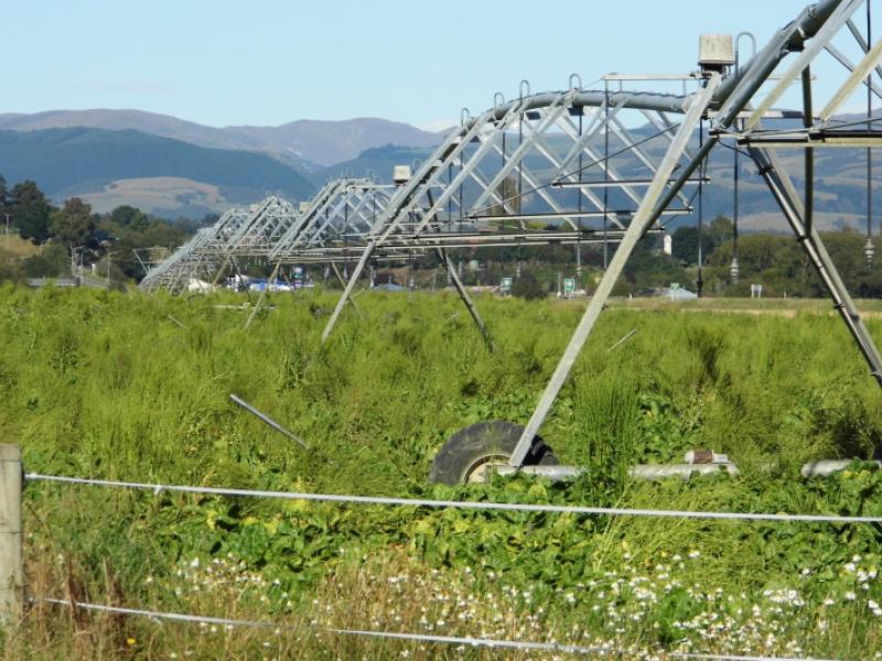 alma-maheno-road-maheno