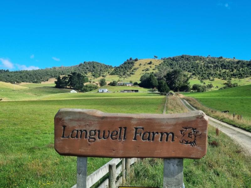 2000-hillfoot-road-warepa