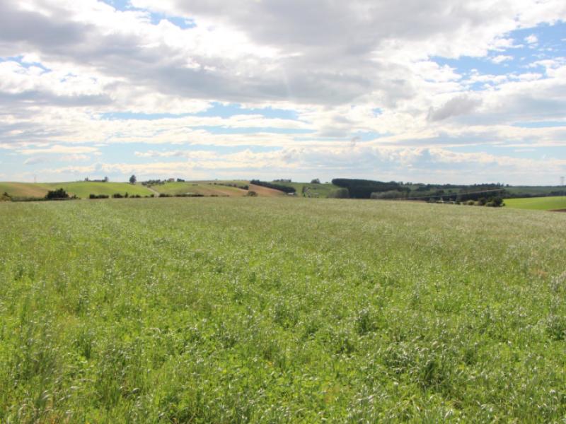 connells-road-levels-valley