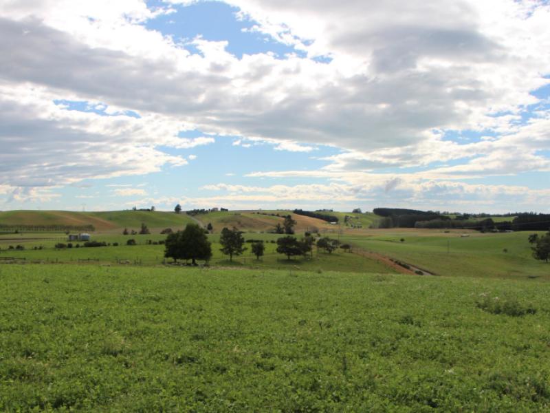 connells-road-levels-valley