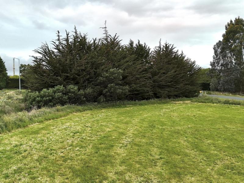 10-rose-lane-edendale